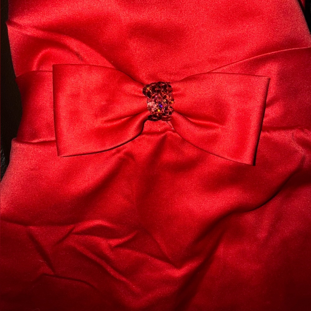 Rare Editions Red Sequin Dress